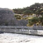 阪急京都本線「桂駅」周辺のオススメポイント５選