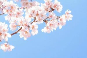 必見!阪急京都本線沿いの人気お出かけスポット!